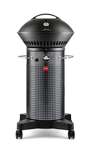 Fuego Element 2016 F21C Model Gas Grill